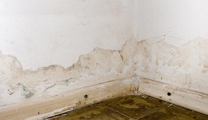 White drywall water leak damage