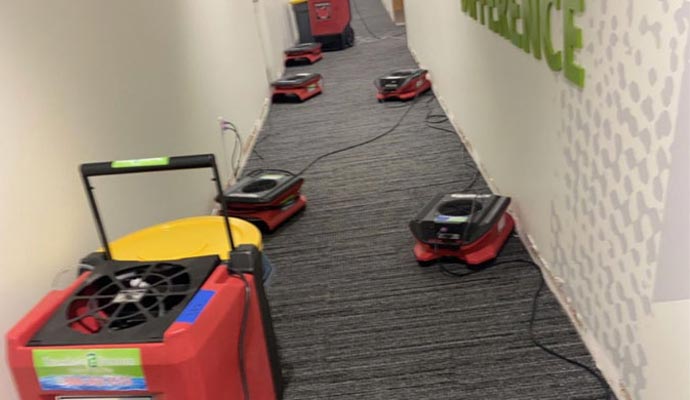 Commercial water damage restoration Air movers and dehumidifiers drying a carpeted hallway.