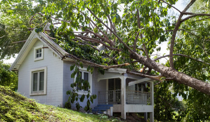 Storm damage house
