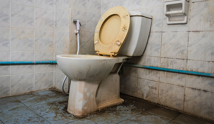 Sewage Removal & Cleanup Services | Mason, Cincinnati, Columbus, Ohio & Sarasota, Florida