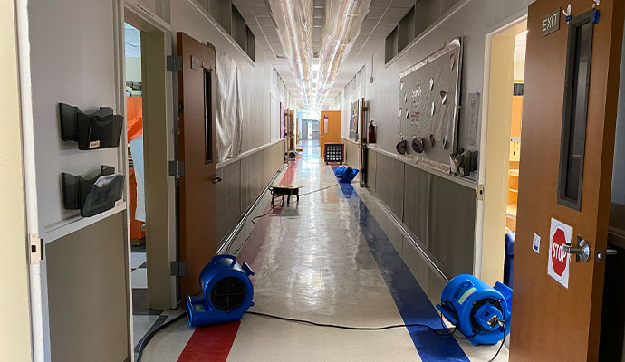 Drying fans in a hallway