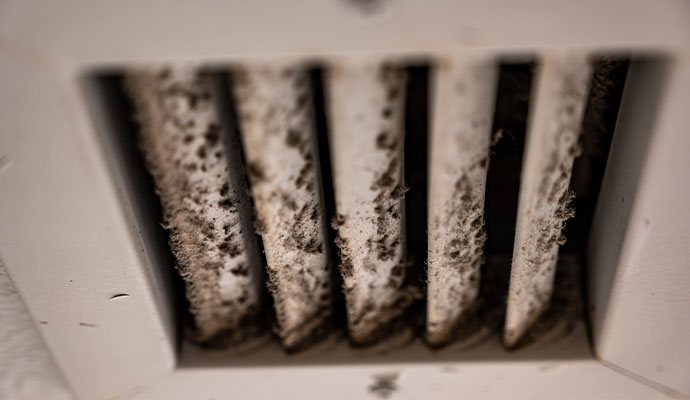 Dusty vent with mold