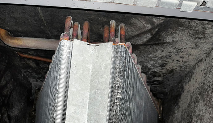 HVAC Mold Remediation in Cincinnati and Columbus