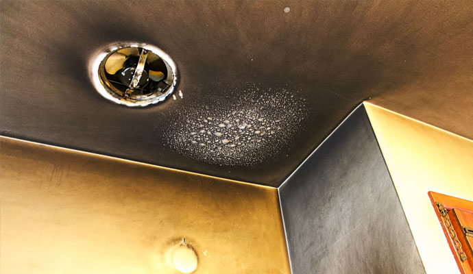Smoke and fire damaged ceiling