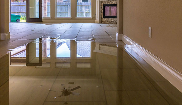 Flooded living room with standing water