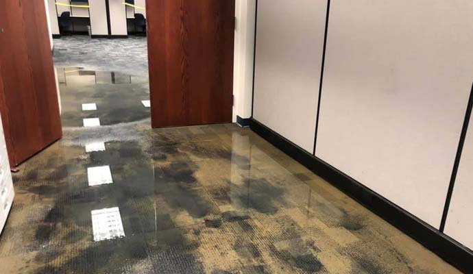 Flooded office building water extraction services