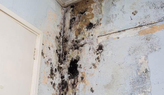 Mold and water damage on a wall