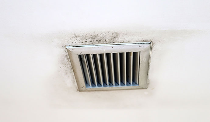 Mold around a ceiling vent