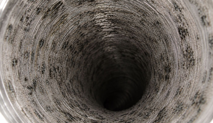 Mold inside an air duct