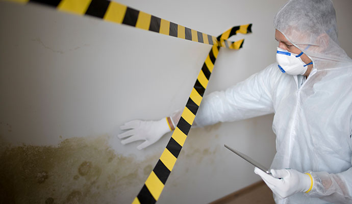 An inspector in a protective suit assessing a moldy wall.