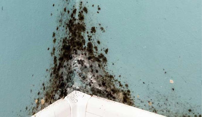 Causes of Mold