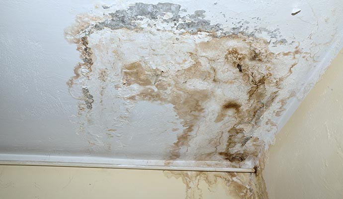 Damaged ceiling indicating structural damage