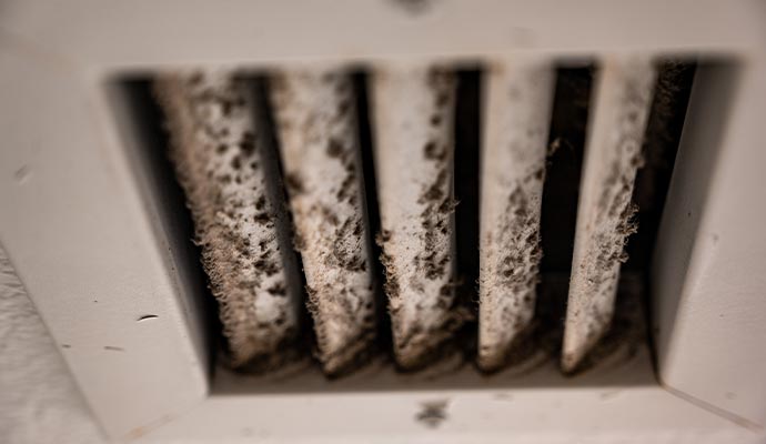 HVAC mold