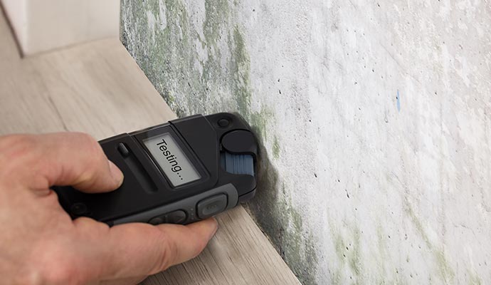 A person inspecting mold
