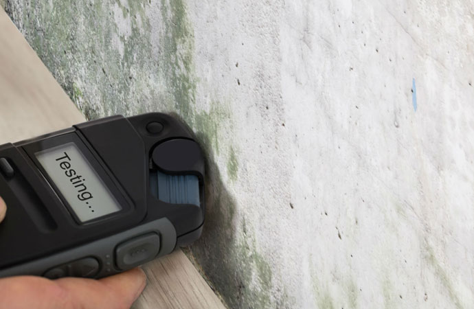 Mold testing using a device