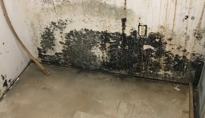 Mold stained wall