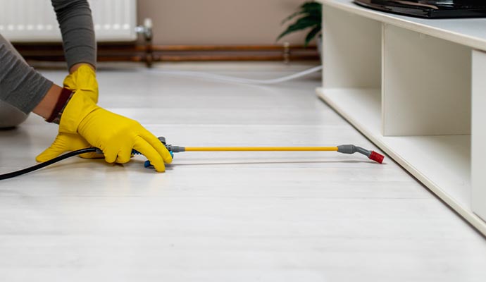 Professional disinfection service