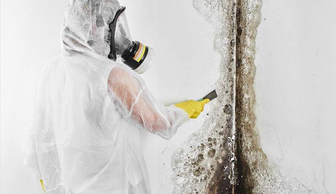 professional man wear protective suit mold removal
