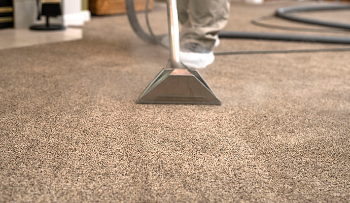 water damaged odor removing professionally