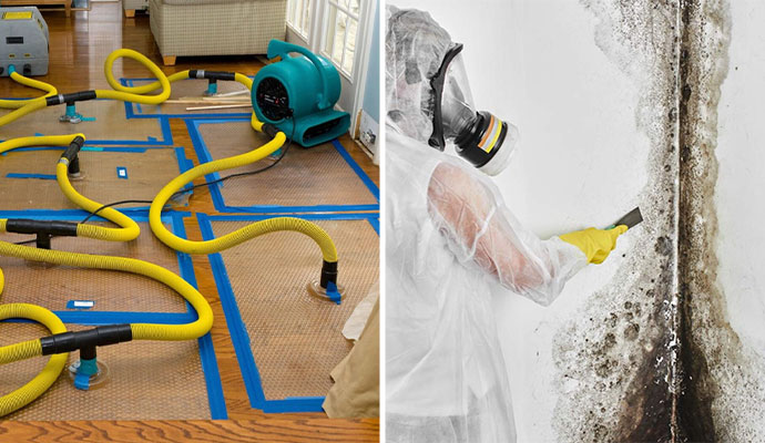 Water Damage Restoration & Mold Removal in Middletown
