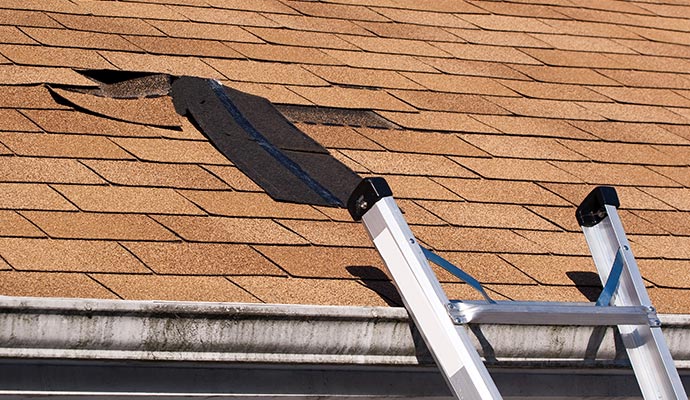 Water leak on shingle roof