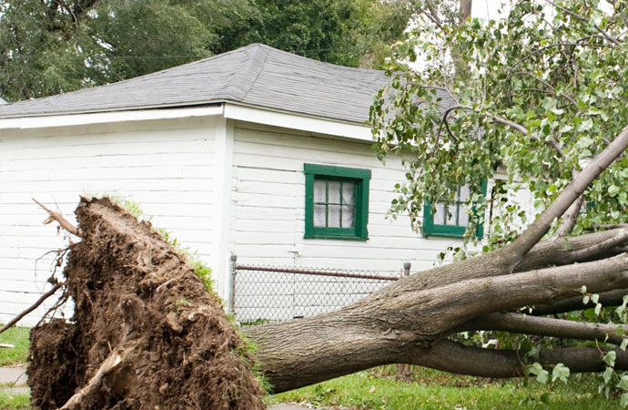 Post Storm Cleanup Services in Cincinnati, OH