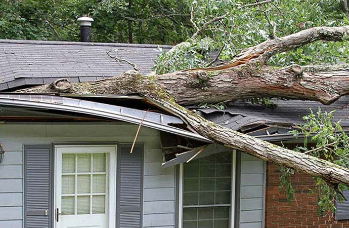 Winter Storm Damage Repair Services