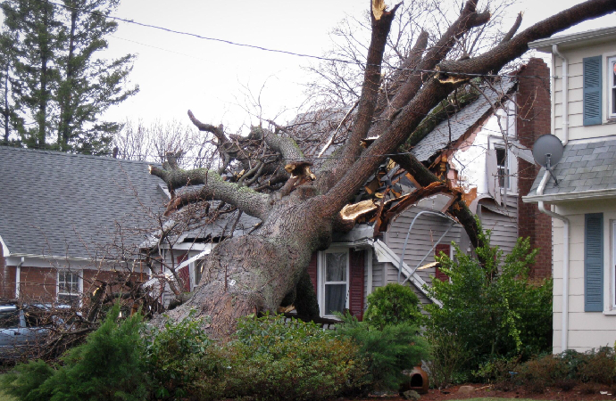 Storm Damage Repair Process