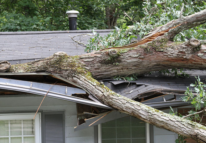 Wind Damages in Greater Cincinnati, Ohio