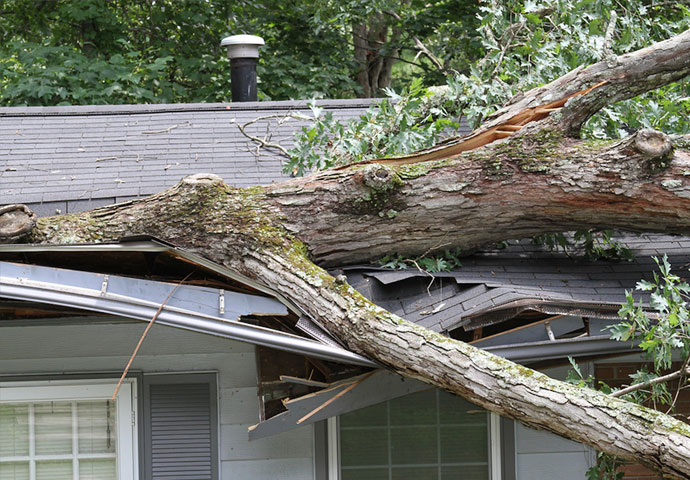 >Wind Damages in Greater Cincinnati, Ohio