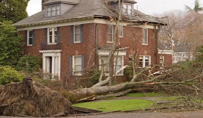 Large tree fallen on a house after a severe storm