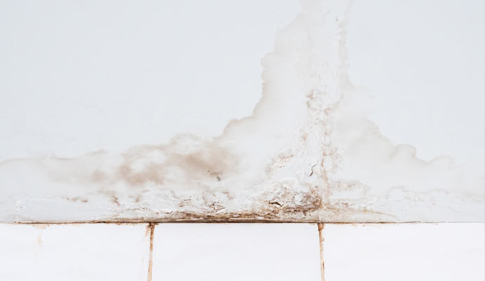 structural damaged stains for water damage