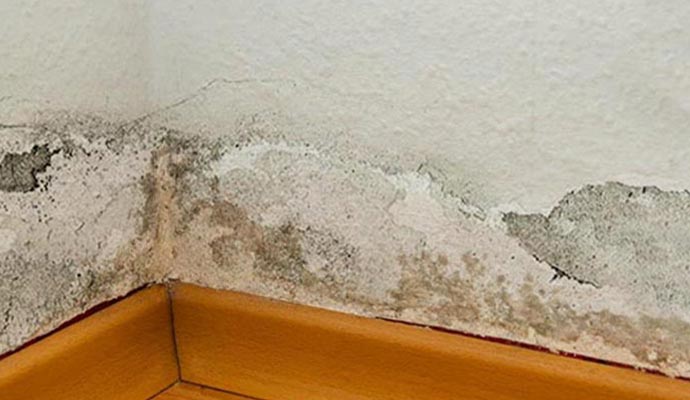 Structural damaged wall