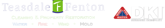 Teasdale Fenton Restoration Logo