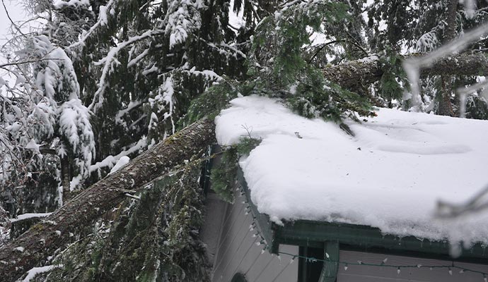 Heavy snow and ice damage