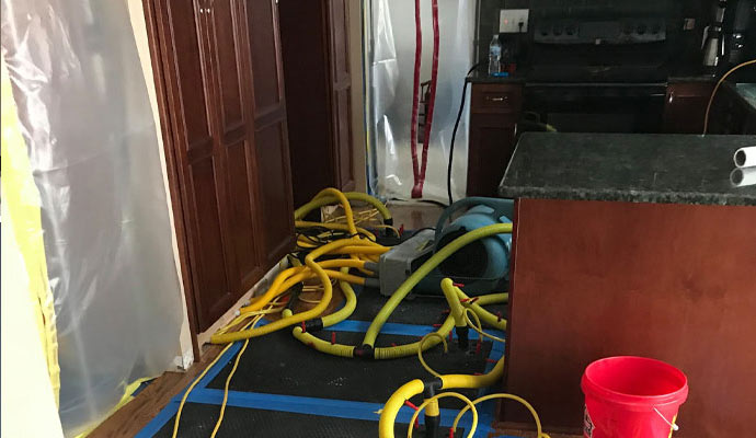 Water Damage Restoration Service