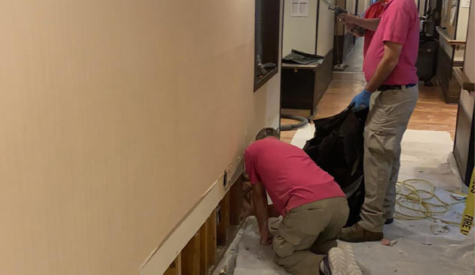 Water Damage Inspection Process by Teasdale Fenton Cleaning & Property Restoration