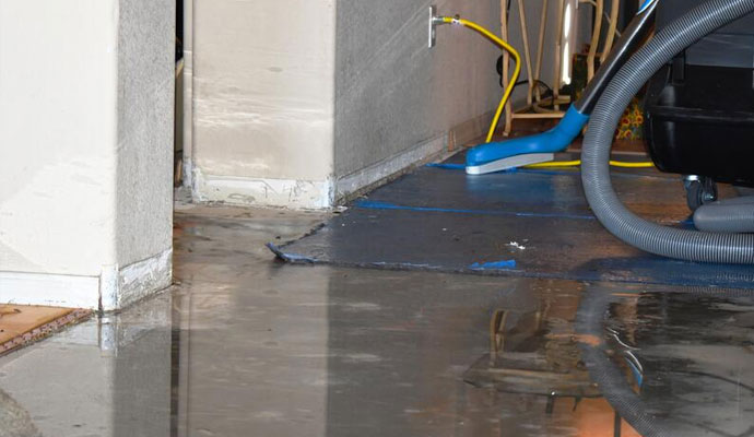 Professional Water Damage Services Provider