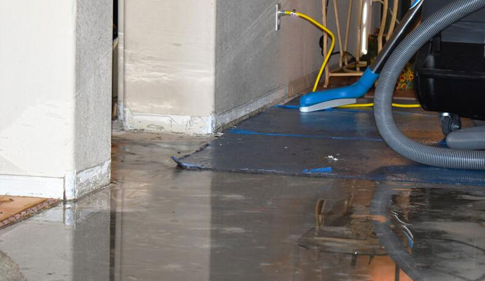 Professional Water Damage Services Provider