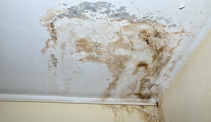 Water damaged ceiling