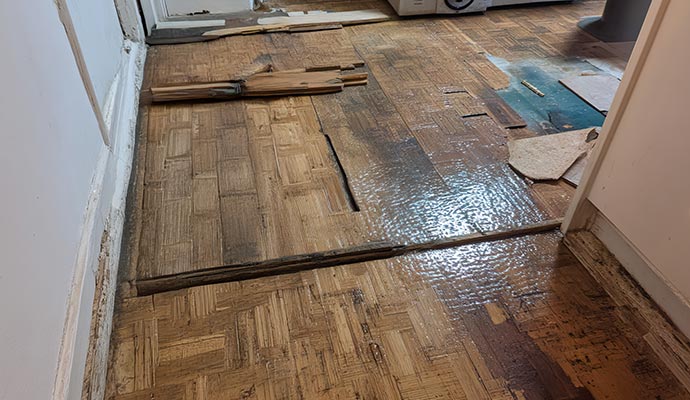 Water damaged hard wood floor