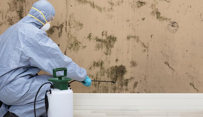 worker removing mold from wall